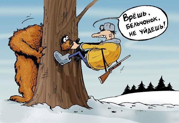 Бельчонок