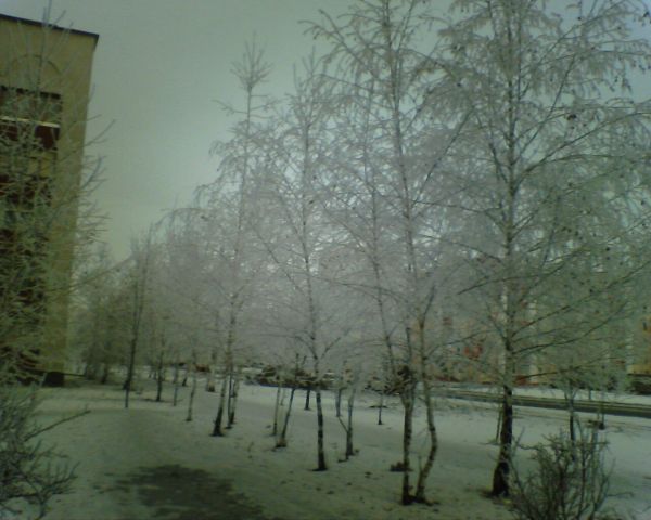 Зима